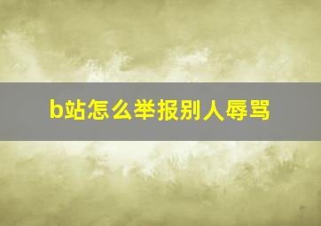 b站怎么举报别人辱骂