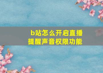 b站怎么开启直播提醒声音权限功能