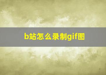 b站怎么录制gif图