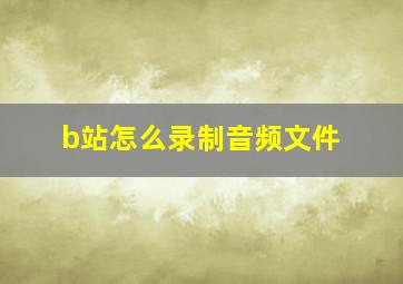 b站怎么录制音频文件