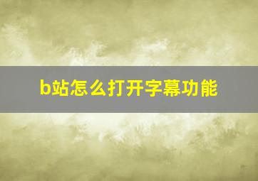 b站怎么打开字幕功能