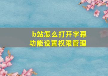 b站怎么打开字幕功能设置权限管理