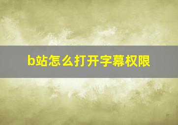 b站怎么打开字幕权限