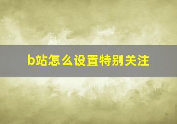 b站怎么设置特别关注