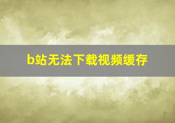 b站无法下载视频缓存