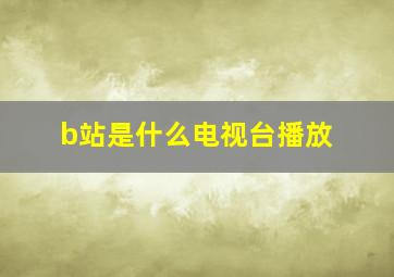 b站是什么电视台播放