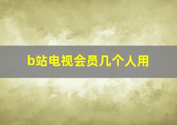 b站电视会员几个人用