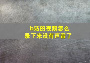 b站的视频怎么录下来没有声音了