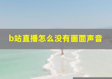 b站直播怎么没有画面声音