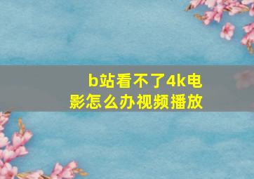 b站看不了4k电影怎么办视频播放