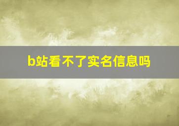 b站看不了实名信息吗