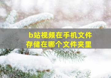 b站视频在手机文件存储在哪个文件夹里