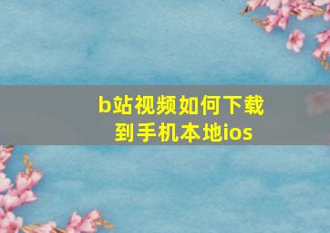 b站视频如何下载到手机本地ios