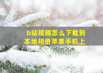 b站视频怎么下载到本地相册苹果手机上