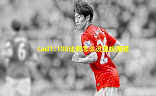 cad1:100比例怎么设置快捷键