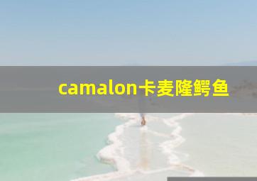 camalon卡麦隆鳄鱼