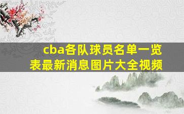 cba各队球员名单一览表最新消息图片大全视频