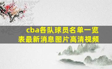 cba各队球员名单一览表最新消息图片高清视频