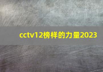 cctv12榜样的力量2023