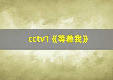 cctv1《等着我》