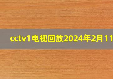 cctv1电视回放2024年2月11日