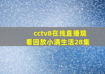 cctv8在线直播观看回放小满生活28集