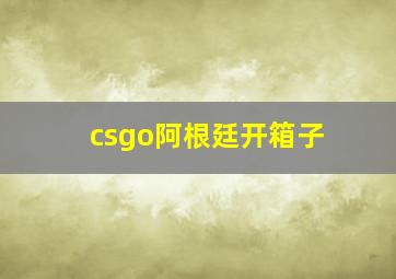 csgo阿根廷开箱子