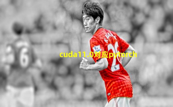 cuda11.0对应pytorch