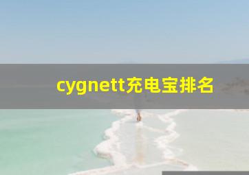 cygnett充电宝排名