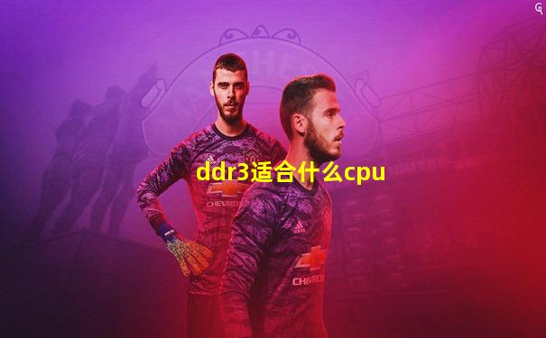 ddr3适合什么cpu