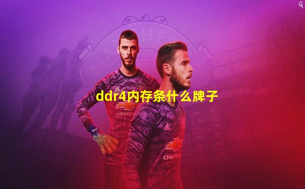 ddr4内存条什么牌子