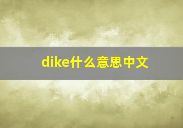 dike什么意思中文