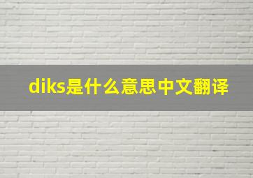 diks是什么意思中文翻译