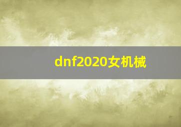 dnf2020女机械