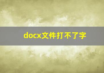 docx文件打不了字