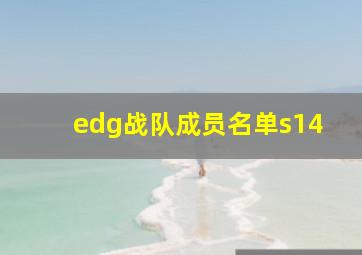 edg战队成员名单s14