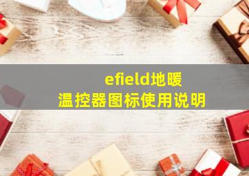 efield地暖温控器图标使用说明