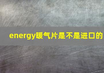 energy暖气片是不是进口的