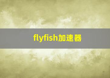 flyfish加速器