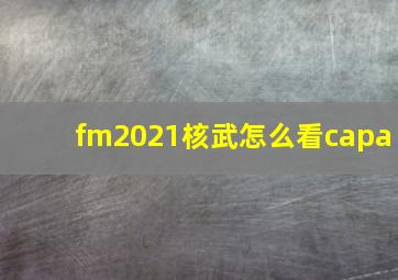 fm2021核武怎么看capa