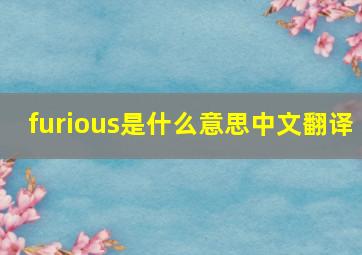 furious是什么意思中文翻译