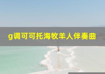 g调可可托海牧羊人伴奏曲