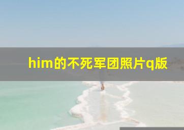 him的不死军团照片q版