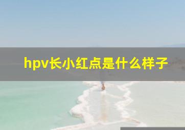 hpv长小红点是什么样子