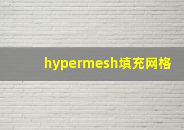 hypermesh填充网格