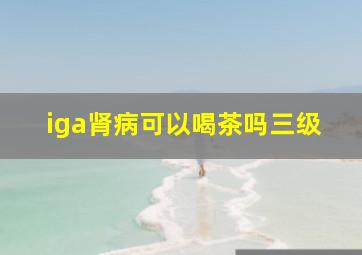 iga肾病可以喝茶吗三级