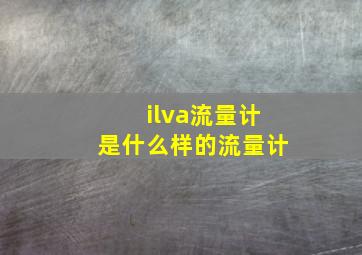 ilva流量计是什么样的流量计