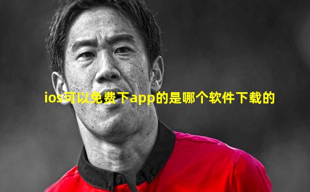 ios可以免费下app的是哪个软件下载的