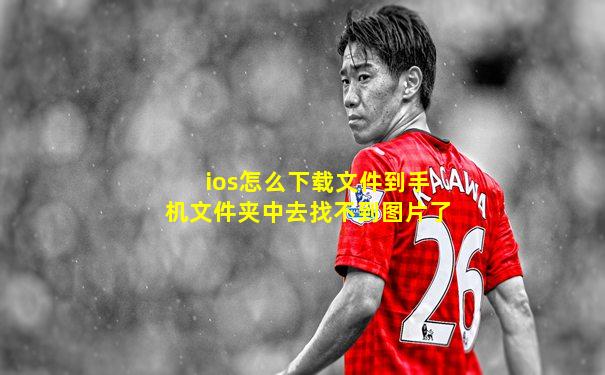 ios怎么下载文件到手机文件夹中去找不到图片了