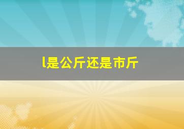 l是公斤还是市斤